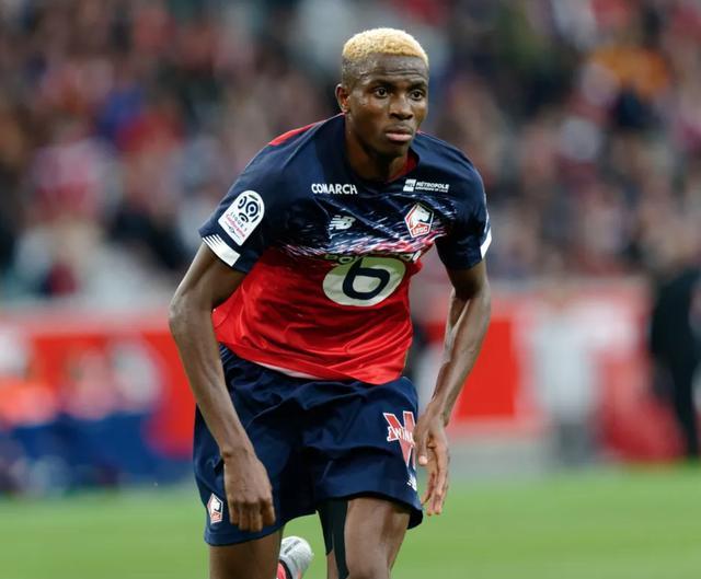 开云-那不勒斯发布备战花絮，国际比赛日迎来里程碑，法甲任务艰巨，赛程密集仍需轮换的简单介绍