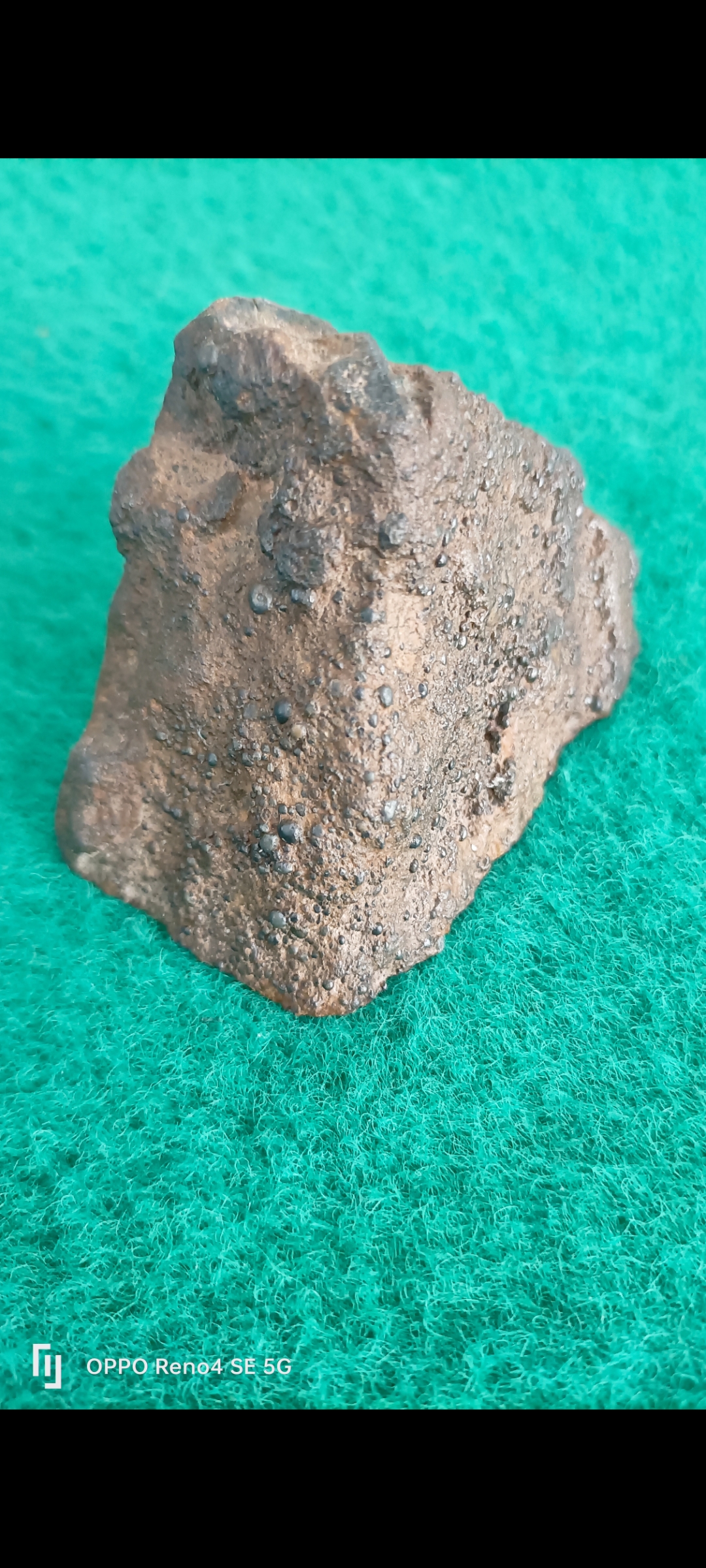 开云体育-頻>XV陨(bib视频下载)