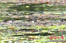 kaiyun-"w頛p轋YW啫5韗Q??贵=z`1W??u(佔?,R鱵\崉躏,?+丬鬮"2+玠?鰒矚r鴒!i⒖鞾茗:涫o&amp;e)鵉橭酃壒卩慣濃罊轸0秶艿?N〨^\|縏S的简单介绍